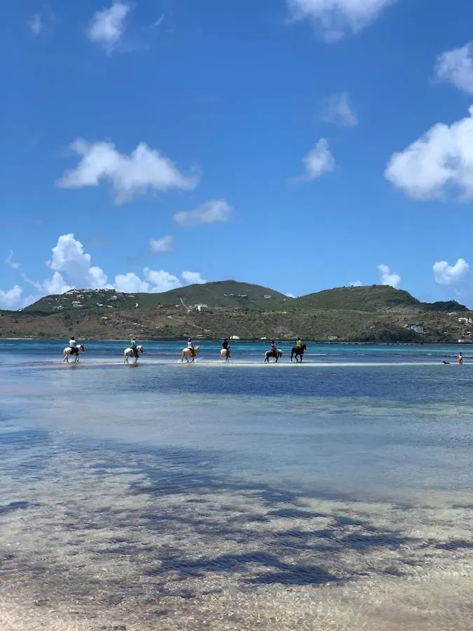 Lägenhet One Life Vue Lagon Sandy Ground Sint Maarten