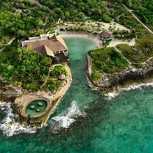 https://occidental-grand-xcaret.quintano-roohotels.com